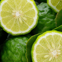 Bergamot