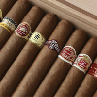 Cuban Cigar