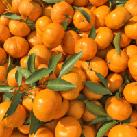 Mandarin