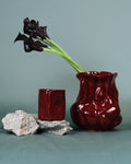 The Nebula Vase