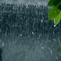 Rain