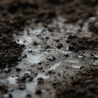 Wet Soil