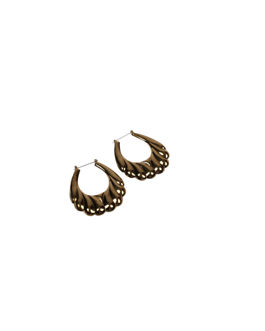 Sea Shell Golden Earrings