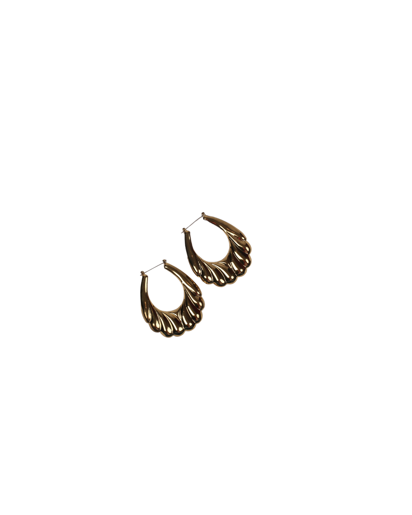 Sea Shell Golden Earrings